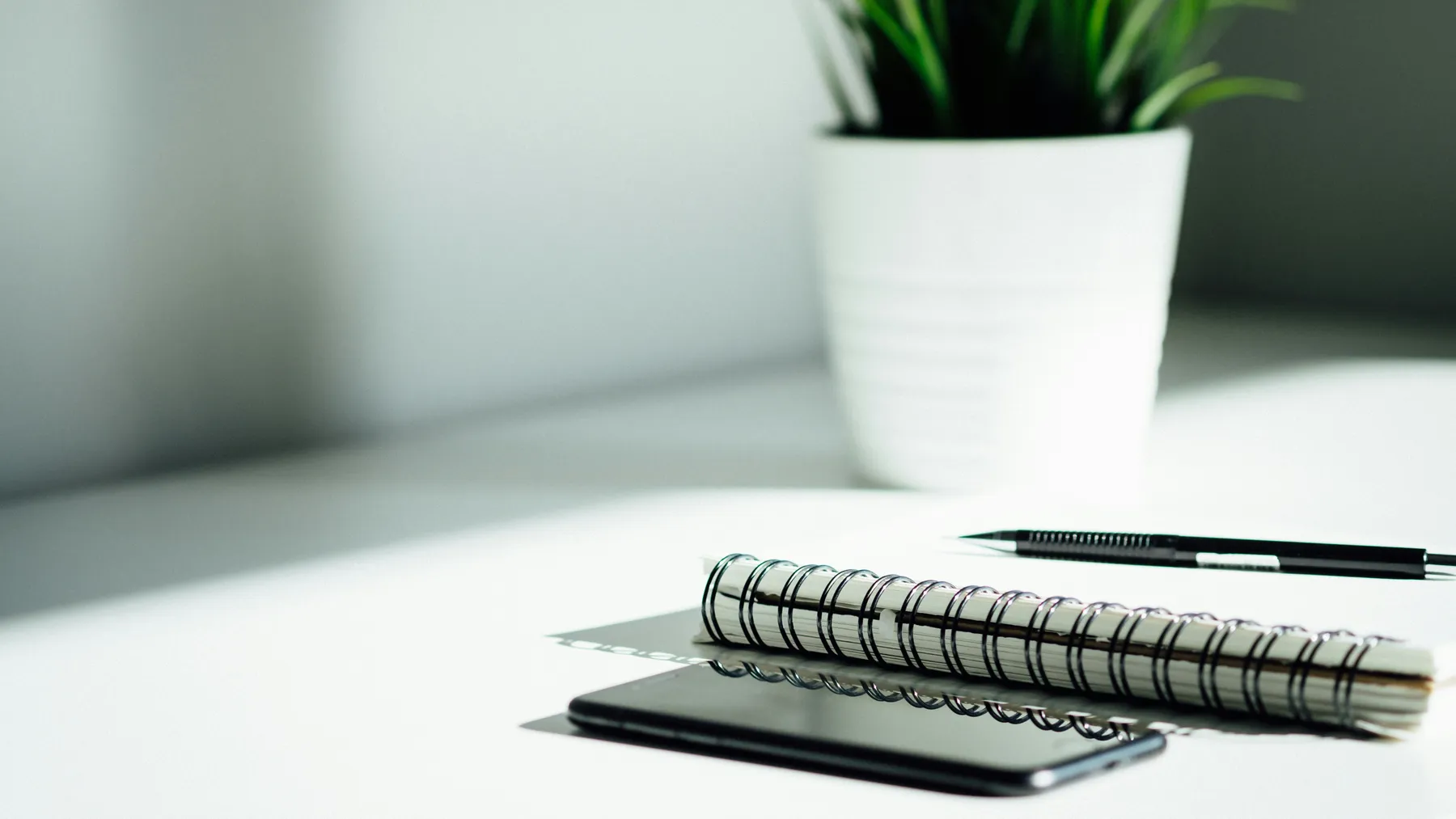 Books on desk plant pot