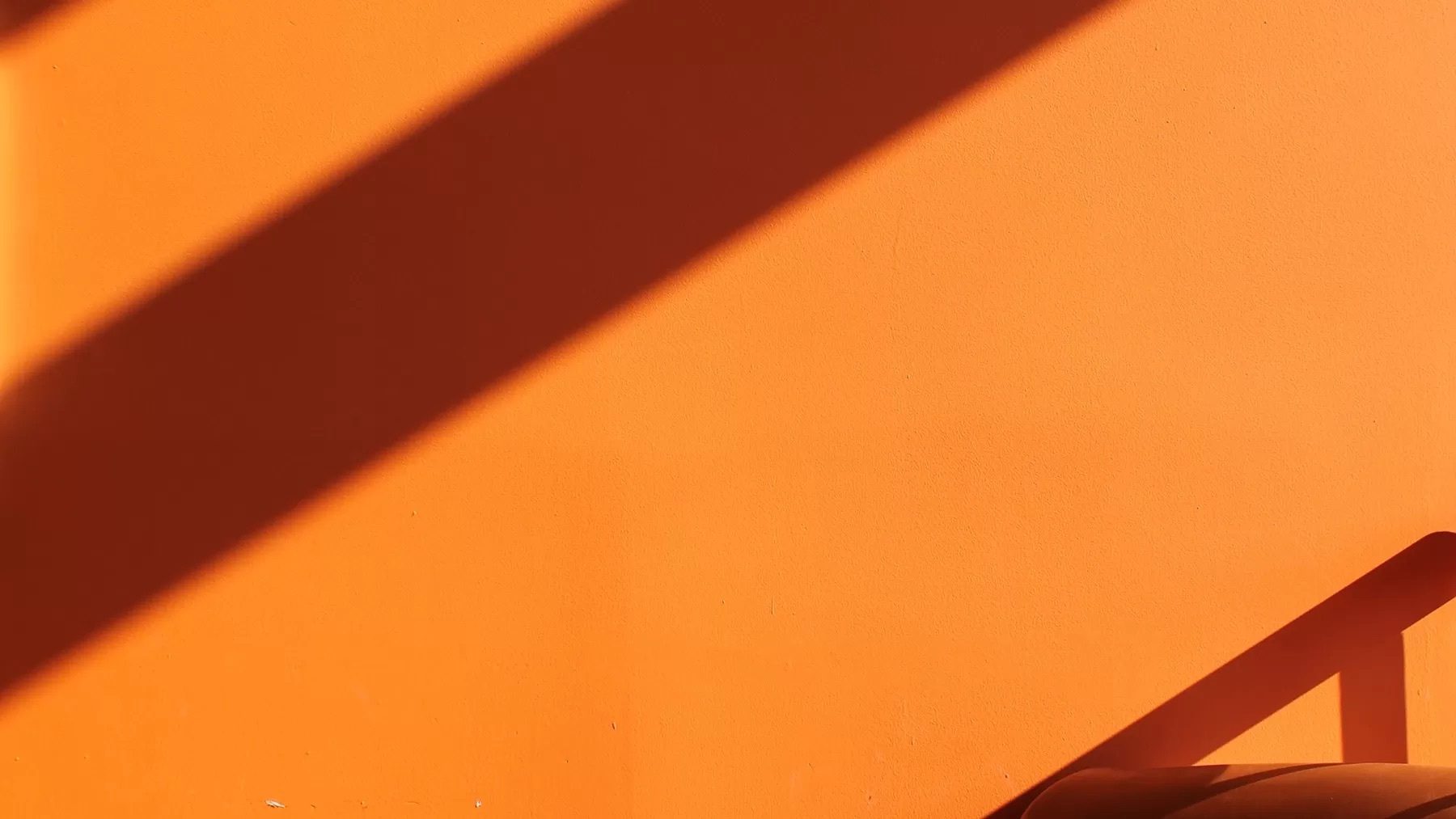 Coandco brand gen 13 24f70b2400106f0946faa2d8ed6c1bc4