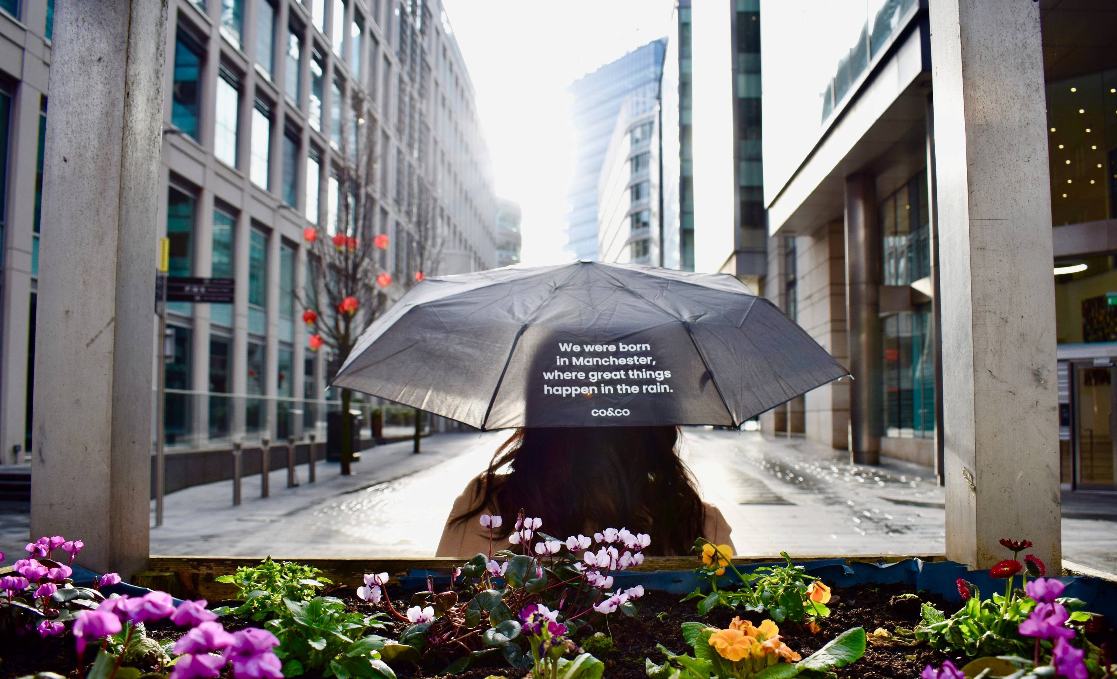 Umbrella