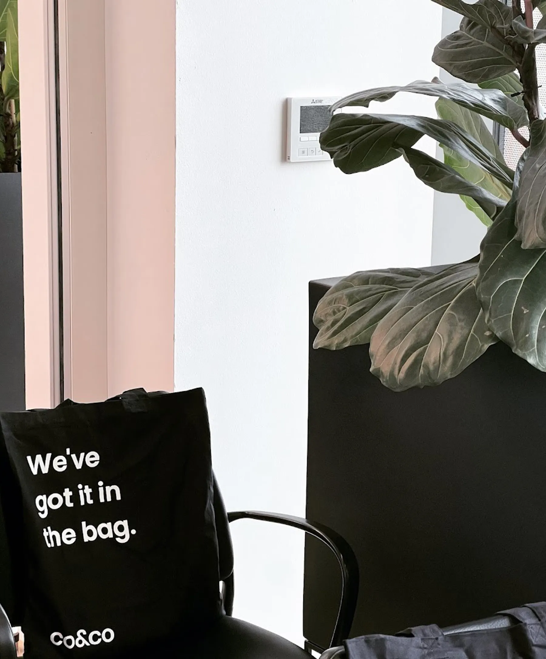 Coandco bag on chair
